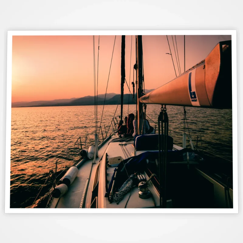 image of an 11x14 print with white borders