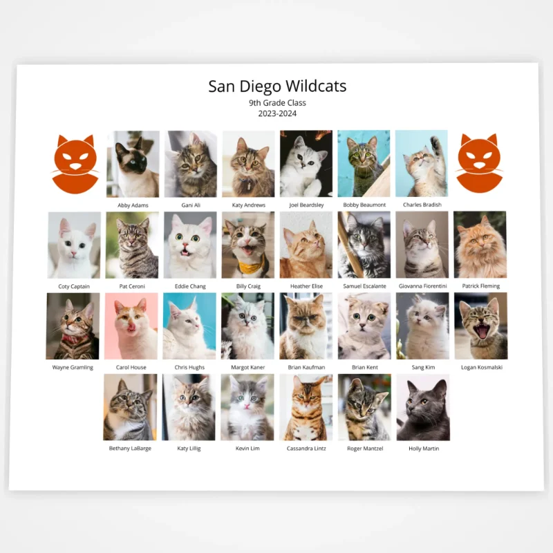 image of an 8x10 class composite