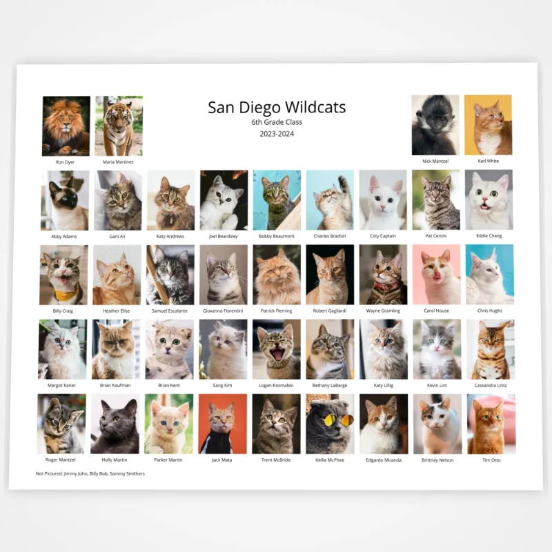image of an 8x10 class composite print with 40 images